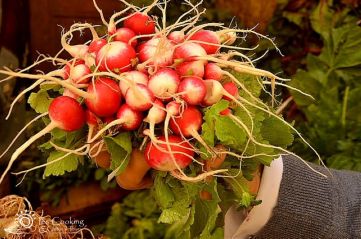 culinary-tours-morocco-souk-radish