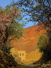 morocco-amellago-almond-blossoms