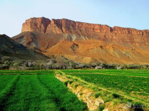 morocco-amellago-fields