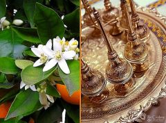 morocco-fes-orange-blossom