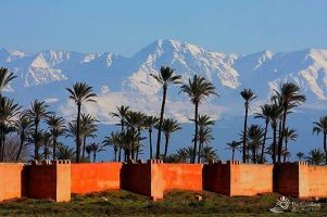 morocco-marrakech-skyline
