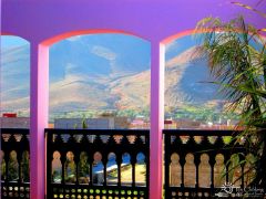 morocco-saffron-house-taliouine