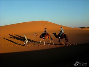 morocco-sahara-desert-camel-trek